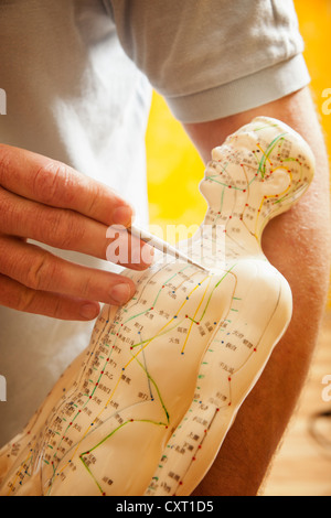 Anatomisches Modell mit markierten Meridianlinien, TCM, traditionelle chinesische Medizin, medizinische Behandlung Stockfoto