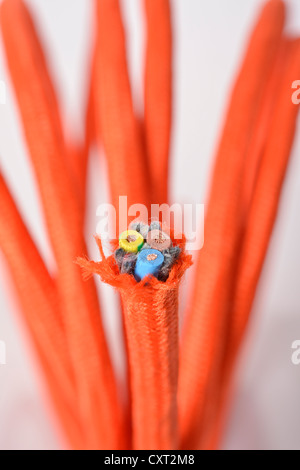 3-Strang, elektrische Kabel mit orange-Beschichtung Stockfoto