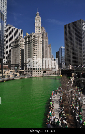 Chicago River grün gefärbt, am St. Patricks Day, Wrigley Building, Chicago, Illinois, USA Stockfoto