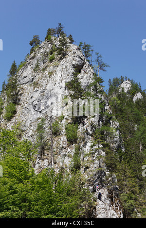 Klettersteig in der Nähe von Johnsbach, Nationalpark Gesäuse, Ennstaler Alpen, Obersteiermark, Steiermark, Österreich, Europa, PublicGround Stockfoto