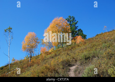 Xinjiang, China, Herbst Gräser und Stadt Stockfoto