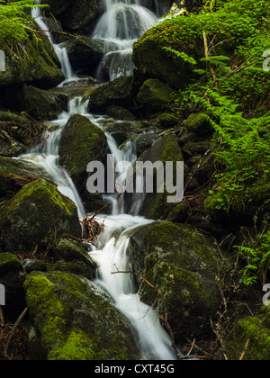 Krimmler Wasserfälle, Krimml, Salzburg, Austria, Europe Stockfoto