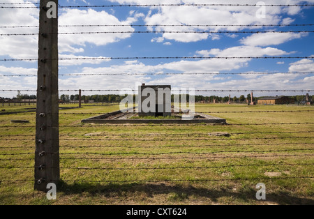 Barb Wire Elektrozaun in Auschwitz II-Birkenau ehemalige Nazi-Konzentrationslager Auschwitz-Birkenau, Polen, Europa Stockfoto