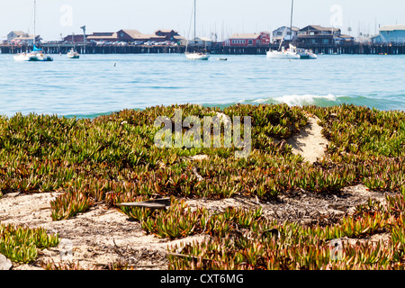 Blick auf Stearns Wharf in "Santa Barbara", California über den Hafen bis zum Strand. Stockfoto