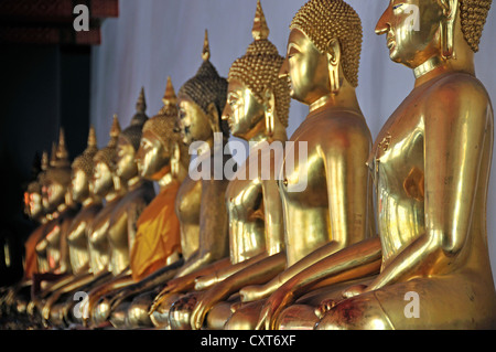 Vergoldete Buddhastatuen, Bhumispara-Mudra, Gautama Buddha im Moment der Erleuchtung, Wat Pho, Bangkok, Thailand, Asien Stockfoto