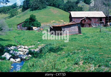 Alte landwirtschaftliche Gebäude auf einer grünen Weide in der Nähe von Paso Robles, California Stockfoto