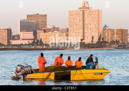 Team in einem Boot Überprüfung Netze zum Schutz der Küste vor Haien, Skyline, Küste, Durban, KwaZulu-Natal, Südafrika, Afrika Stockfoto