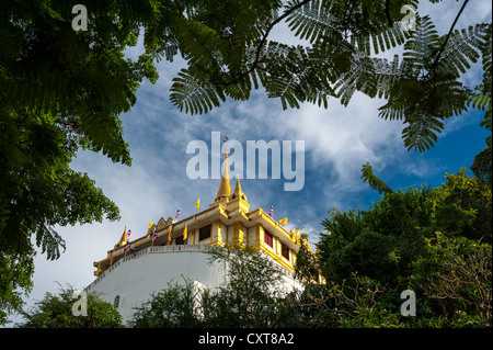 Phu Khao Thong oder Golden Mount am Wat Saket, Bangkok, Thailand, Asien Stockfoto