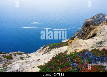 Blick auf Pazifischen Ozean von Klippen am Point Reyes National Park in Kalifornien Stockfoto