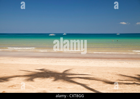 Schatten der Kokospalmen am Strand Sabang, Palawan, Philippinen, Asien Stockfoto