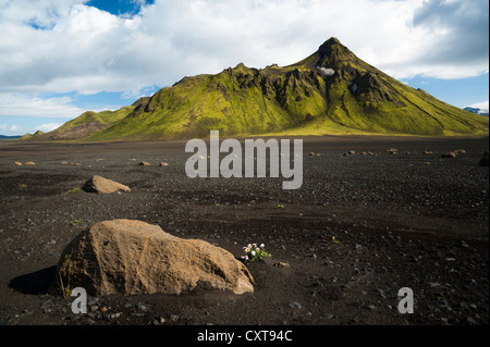 Steinen in der schwarzen Lava-Wüste mit Moos bewachsenen Berge auf dem Laugavegur-Wanderweg Álftavatn-Emstrur, Highland Stockfoto