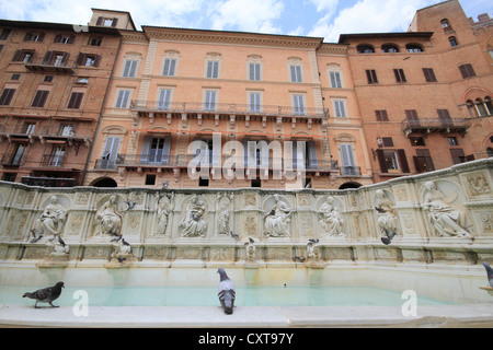 Fonte Gaia-Brunnen, Piazza del Campo Quadrat, Siena, Italien, Europa Stockfoto