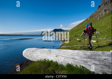 Wanderer und Treibholz auf dem Wanderweg zu den Vogelfelsen Hornbjarg, Hornstrandir, Westfjorde, Island, Europa Stockfoto