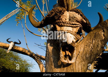 Eingang Tor, Zulu, Film-set Shakazulu, Shakaland, KwaZulu-Natal, Südafrika, Afrika Stockfoto