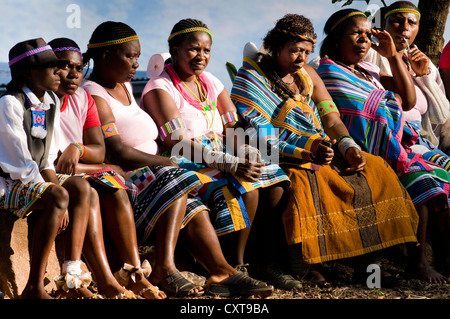 Frauen auf einem traditionellen Festival, Venda, Limpopo, Südafrika, Afrika Stockfoto