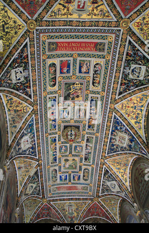 Decke die Libreria Piccolomini-Bibliothek mit Fresken von Pinturicchio, Dom von Siena, Kathedrale Santa Maria Assunta Stockfoto