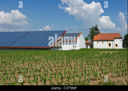 Photovoltaik-Anlage, Photovoltaik-Anlage auf dem Dach eines landwirtschaftlichen Gebäudes in der Nähe von Plattling, Bayern, Niederbayern Stockfoto