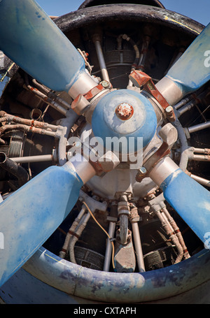 alten Kolben Motor und Propeller Flugzeug Stockfoto