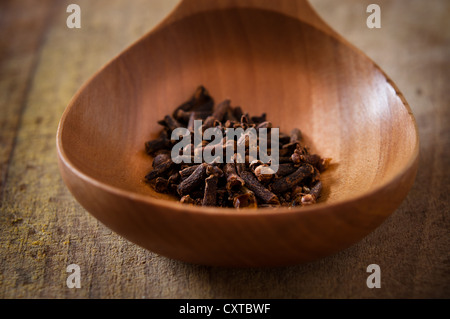 Nelken Samen in einem Holzlöffel Stockfoto