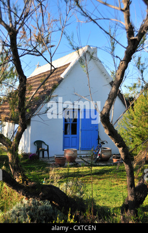 Traditionellen strohgedeckten Cabanes oder Haus, ein gedecktes einstöckiges Haus einmal von Cowboys in der Camargue, Provence, Südfrankreich, Frankreich Stockfoto