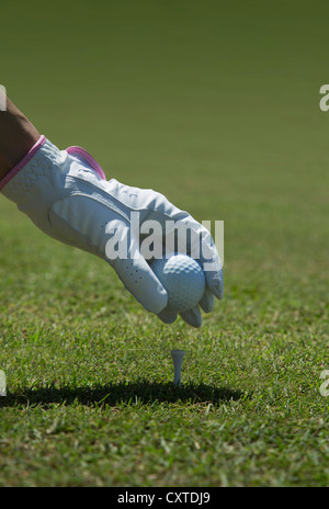 Behandschuhte Hand Platzierung Golfball auf tee Stockfoto