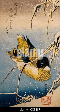 Stockente und verschneite Schilf Utagawa Hiroshige japanische 1797 – 1858) Edo Periode 1832 Japan 38,1 x 17,5 cm Holzschnitt Stockfoto