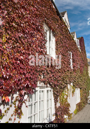 Efeu bedeckt Haus im Herbst, Broad Street Oxford 5 Stockfoto