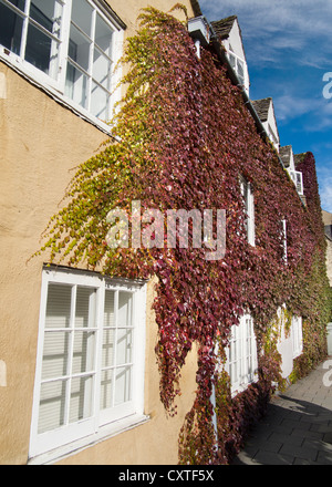 Efeu bedeckt Haus im Herbst, Broad Street Oxford 6 Stockfoto