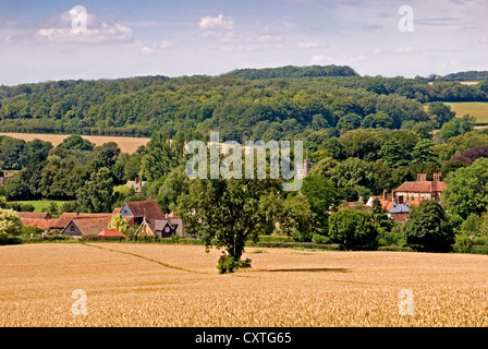 Dollar - Chiltern Hills - Weizenfeld im Hochsommer Sonnenlicht - Litte Missenden Dorf jenseits - bewaldeten Hügeln - Wanderweg Stockfoto