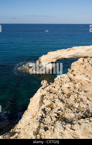 dh AYIA NAPA Zypern Laudakia Stellio Echse Reptil auf felsigen Klippen und Meer arch Stockfoto
