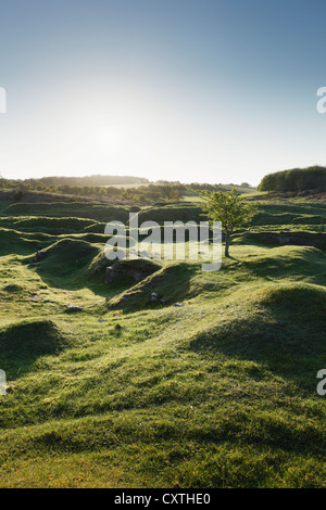 Ubley Warren Naturschutzgebiet. Mendip Hills. Somerset. England. VEREINIGTES KÖNIGREICH. Stockfoto