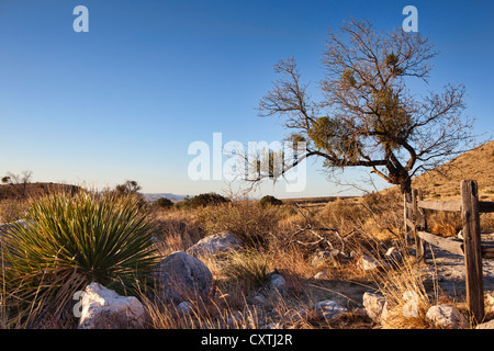 Guadalupe Mountains National Park Landschaft Stockfoto