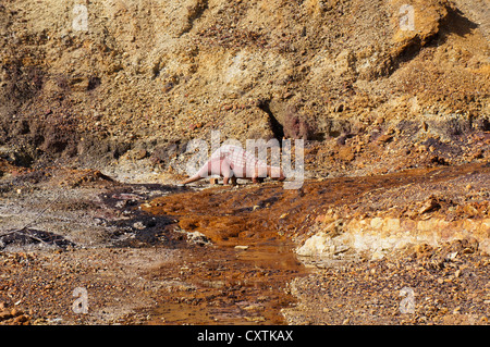 Mechanische Dinosaurier in der Nähe von Brücke bei La Reserva Sevilla El Castillo de las Guardas der Safari-Park in Sevilla, Andalusien, Spanien Stockfoto