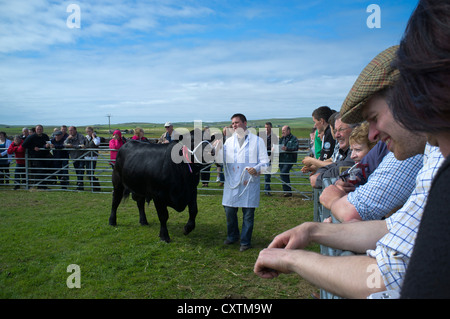Dh West Festland zeigen DOUNBY ORKNEY Gast- und Landwirt paradieren Stier im show Ring britische Rinder landwirtschaftlichen Menschen Stockfoto