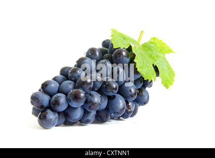 Der Zweig der Trauben mit Wassertropfen Stockfoto