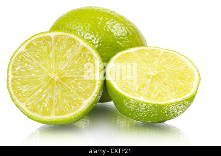 Kalk, isoliert auf weißem Hintergrund Stockfoto