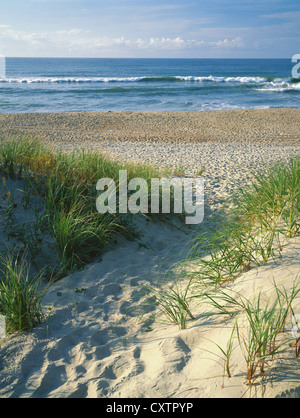 Cape Hatteras National Seashore, NC: Strand Weg führt über die Barriere-Dünen Stockfoto