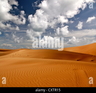 Bewölkter Himmel über Sanddüne Wüste in den Arabischen Emiraten Stockfoto