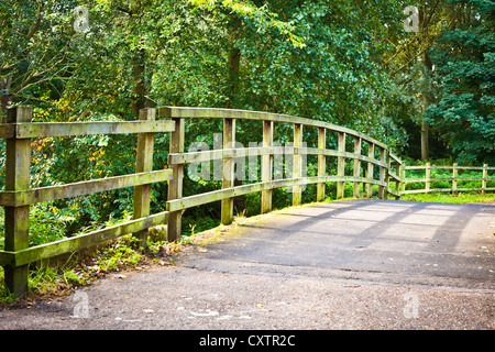 Ein Holzsteg in der englischen Landschaft Stockfoto