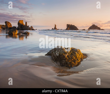 Coos County, OR: Bandon Strand bei Ebbe mit Seastacks Oregon Islands National Wildlife Refuge Stockfoto