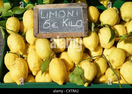 Zitronen für Verkauf in Straßenstand, Sirmione, Gardasee, Provinz Brescia, Lombardei, Italien Stockfoto