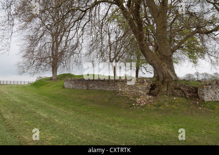 Die Windmühle abschwenken Long Barrow Rodmarton, Kammern eine neolithische Grab mit einem rätselhaften "falsche Eingang", Gloucestershire, UK. Stockfoto