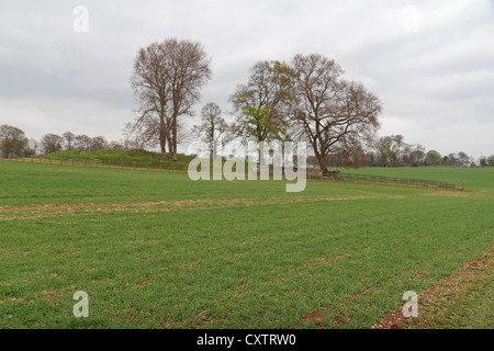 Die Windmühle abschwenken Long Barrow Rodmarton, Kammern eine neolithische Grab mit einem rätselhaften "falsche Eingang", Gloucestershire, UK. Stockfoto