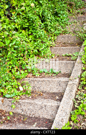 Steinerne Treppe in einem verwilderten Garten Stockfoto