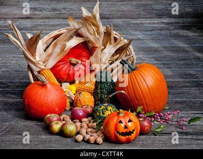 Halloween-Kürbisse mit Dekoration auf einem Holztisch Stockfoto