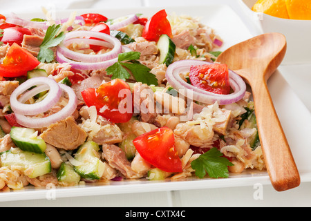 Toskanische Bohnen und Thunfisch-Salat mit Tomaten, Gurken, Parmesan und Zitrone-Vinaigrette, auf eine quadratische weiße Platte. Stockfoto