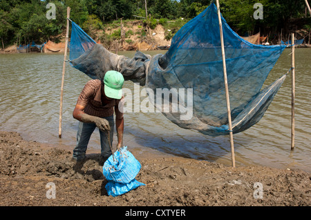 Mann auf der Suche nach Regenwürmern als Köder für den Fischfang in den schlammigen Ufer des Flusses Sangkae, Battambang, Kambodscha Stockfoto