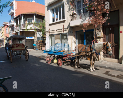 Pferd und Phaeton Beförderung ist der öffentlichen Haupttransport für Besucher zu Buyukada Türkei, hier vorbei Güterverkehr Stockfoto