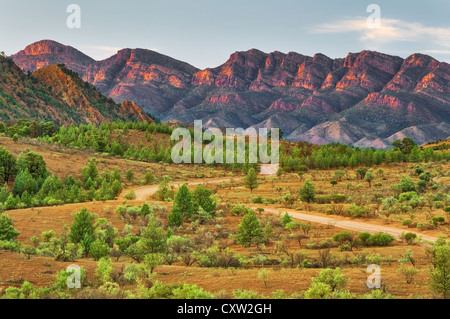 Der Weg schlängelt sich durch das Bunyeroo Valley in den Flinders Ranges. Stockfoto