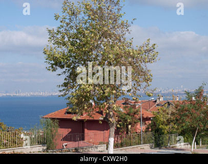 Blick von einem Hügel auf Buyukada eines die Prinzeninseln im Marmarameer, Skyline von Istanbul im Hintergrund Stockfoto